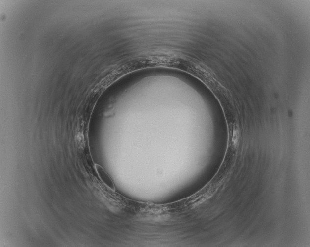 X0000080670771200612301359