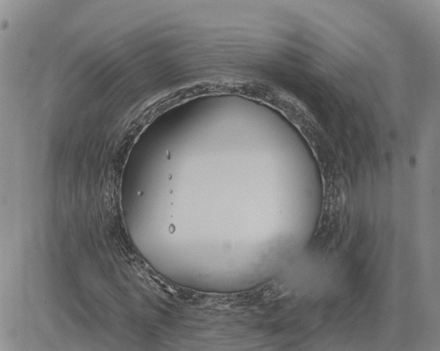 X0000080670773200612301359