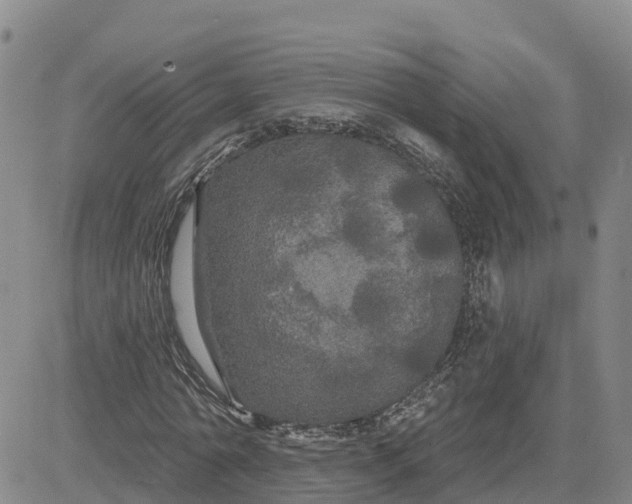 X0000080670774200612301359