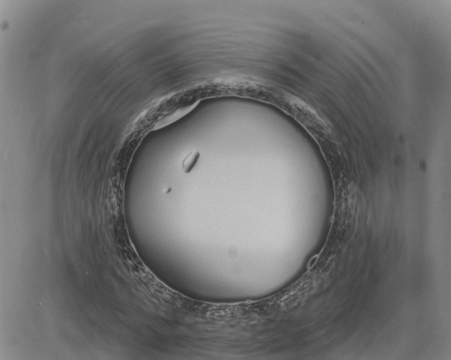 X0000080670776200612301359