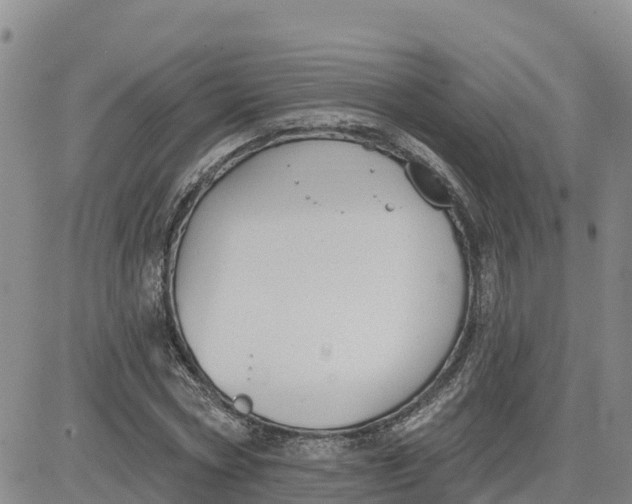 X0000080670778200612301359