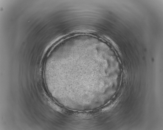 X0000080670779200612301359