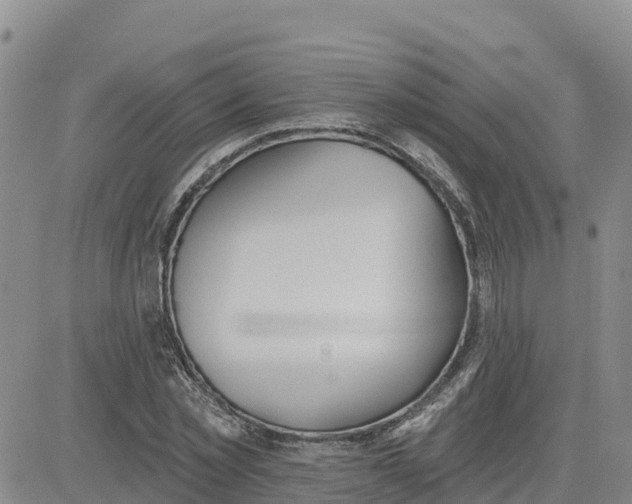 X0000080670781200612301359