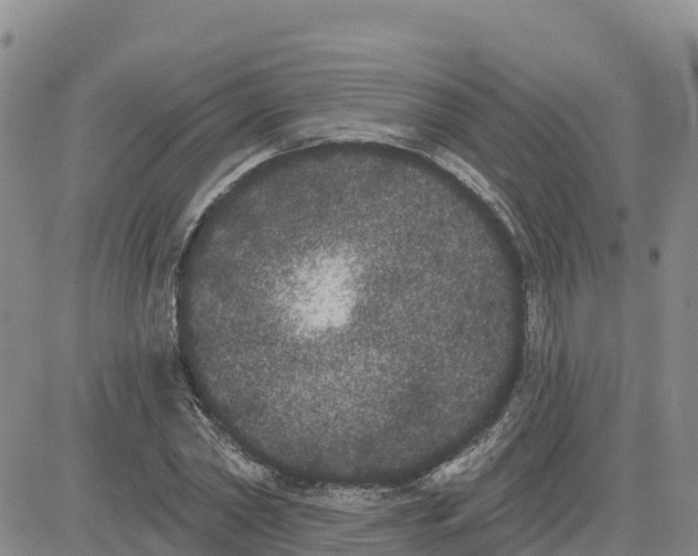 X0000080670782200612301359