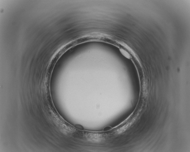 X0000080670783200612301359