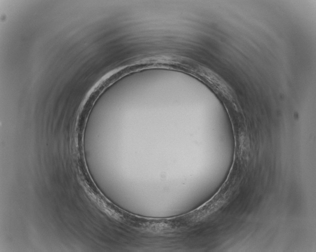 X0000080670784200612301359