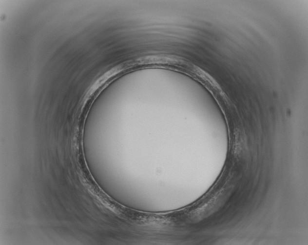 X0000080670786200612301359