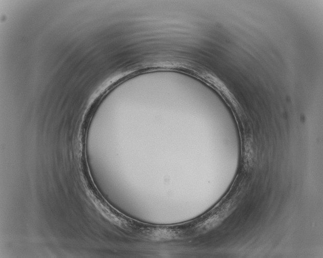 X0000080670787200612301359