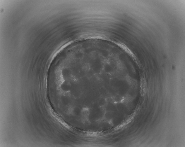 X0000080670790200612301359