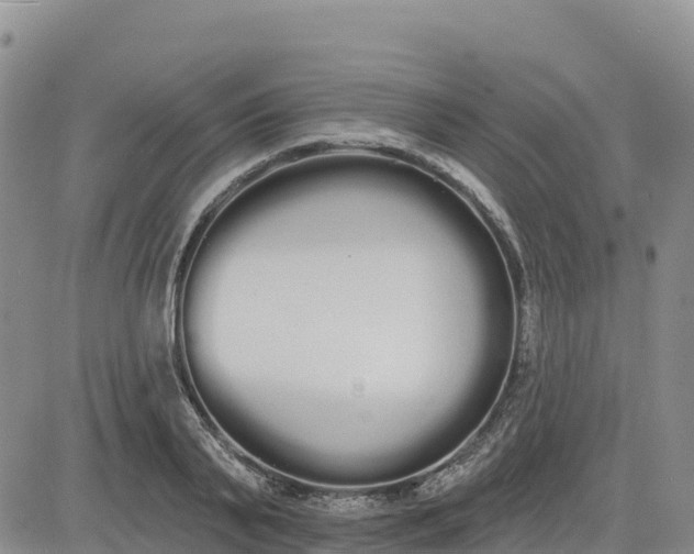 X0000080670791200612301359