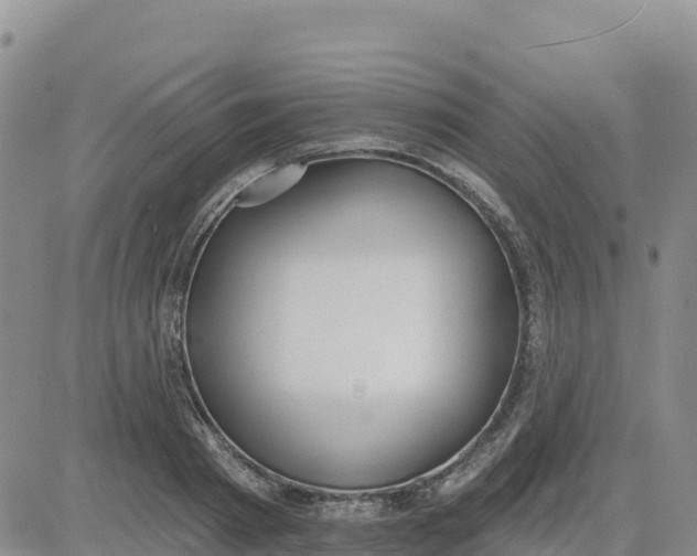 X0000080670793200612301359