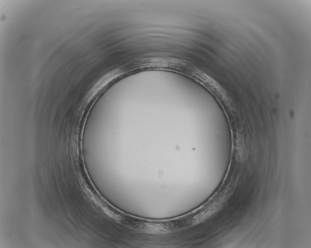 X0000080670794200612301359