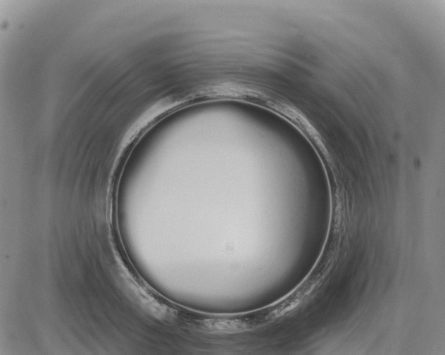 X0000080670795200612301359