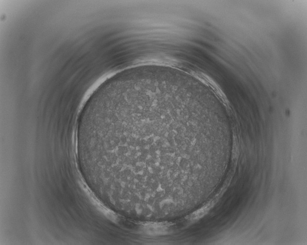 X0000080670796200612301359