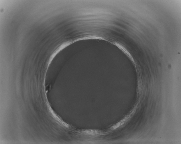 X0000080670797200612301359