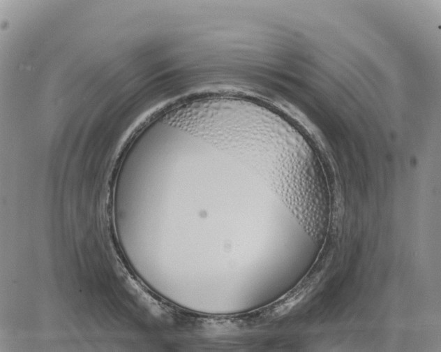 X0000080670799200612301359