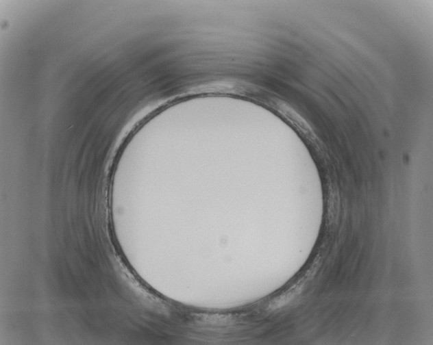 X0000080670800200612301359