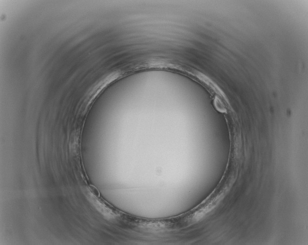 X0000080670801200612301359