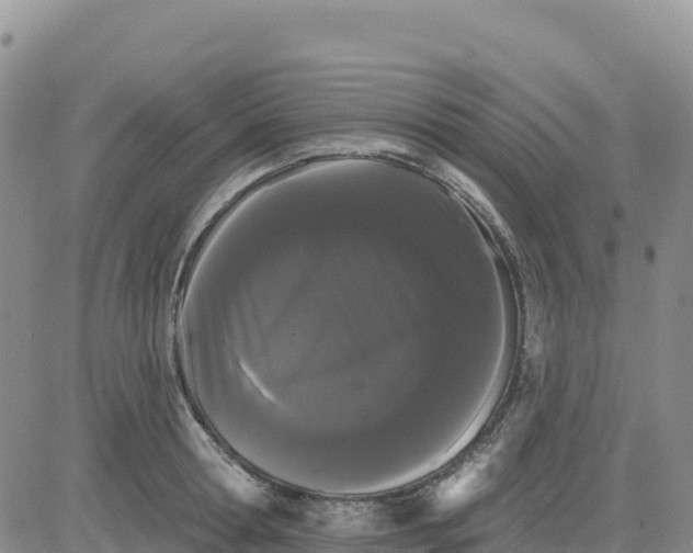 X0000080670802200612301358