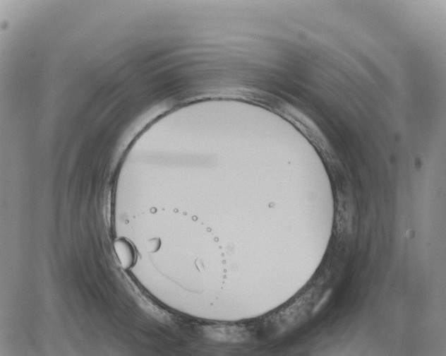 X0000080670804200612301358