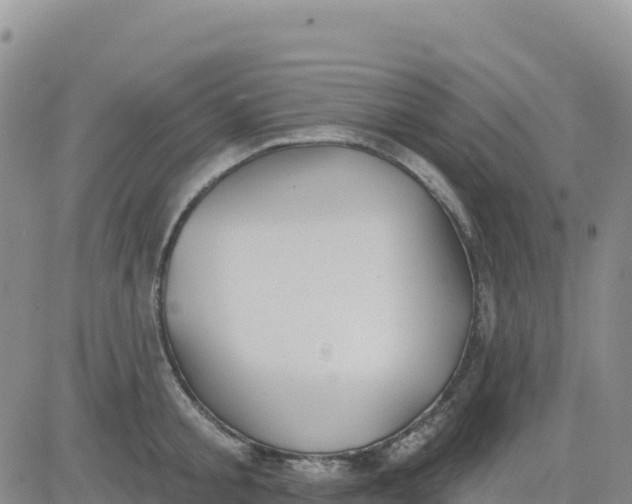 X0000080670805200612301358