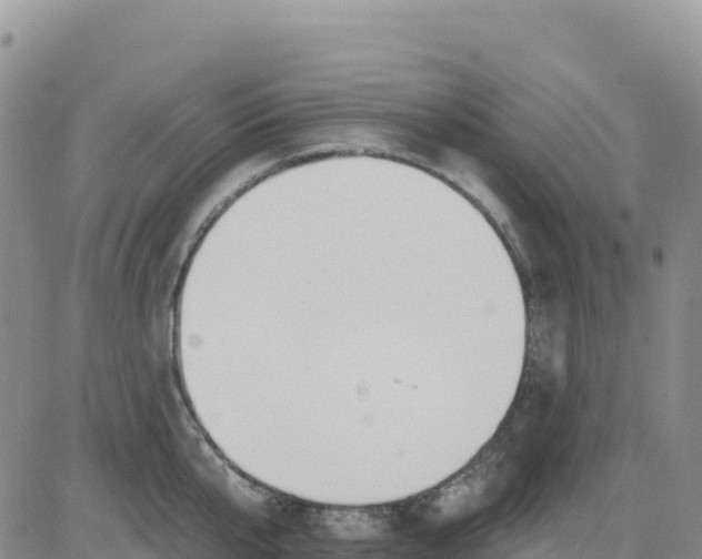 X0000080670807200612301358