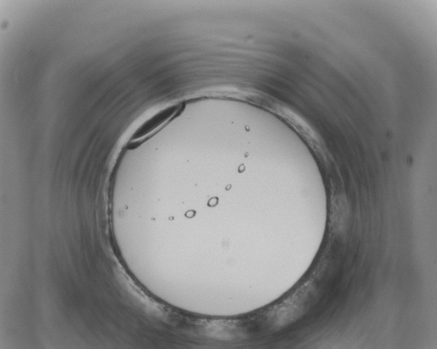 X0000080670808200612301358