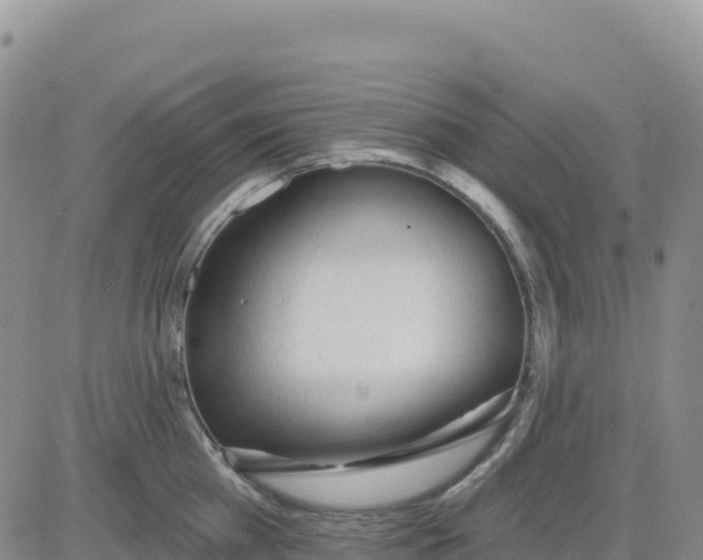 X0000080670809200612301358