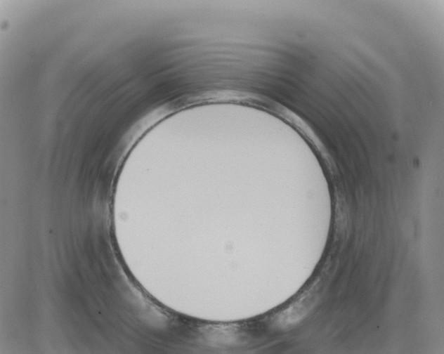 X0000080670810200612301358