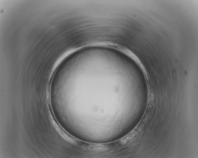 X0000080670811200612301358