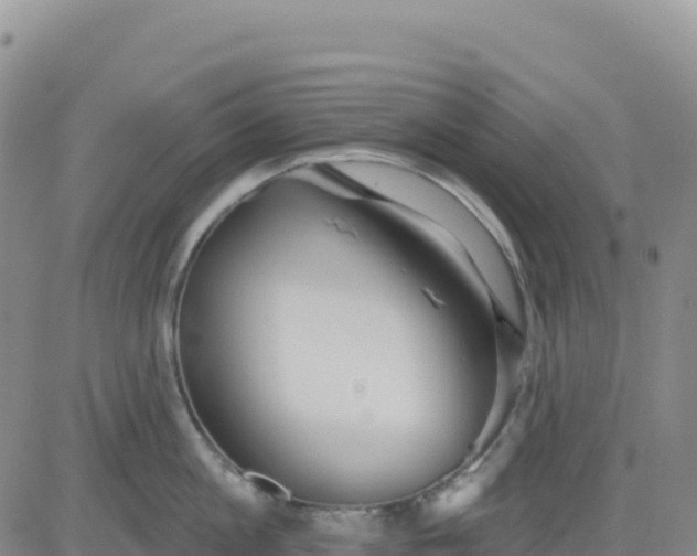 X0000080670813200612301358