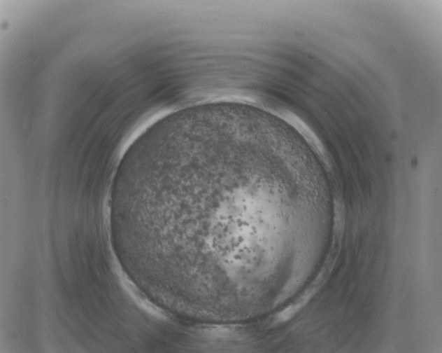 X0000080670814200612301358