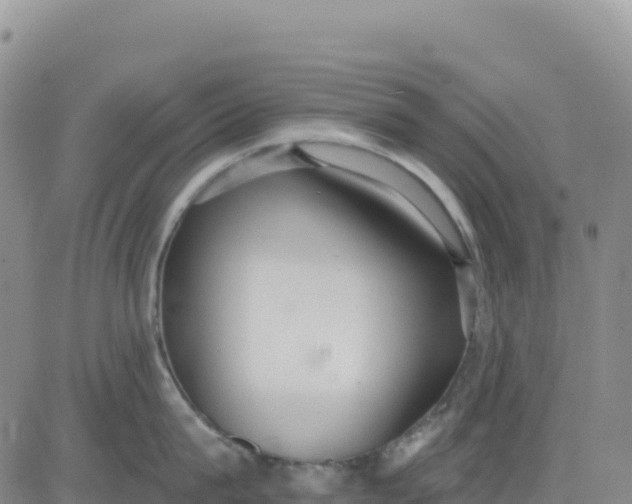 X0000080670815200612301358