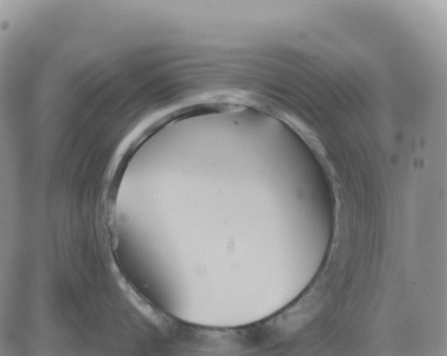 X0000080670816200612301358