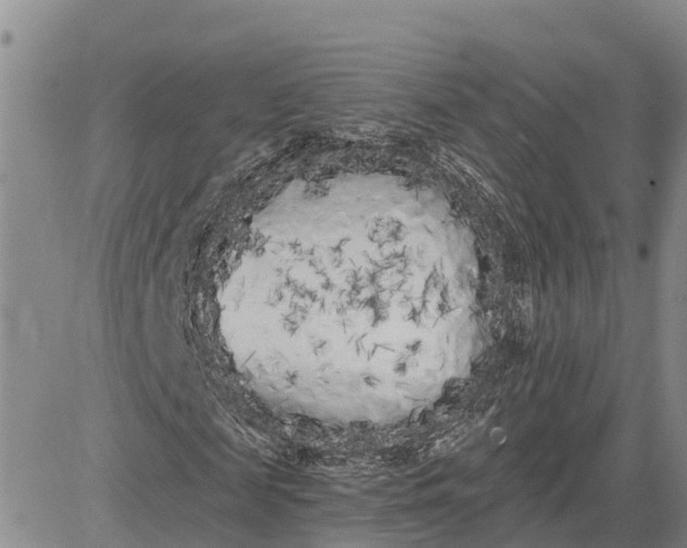 X0000080670817200612301358