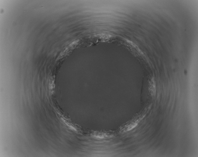 X0000080670818200612301358