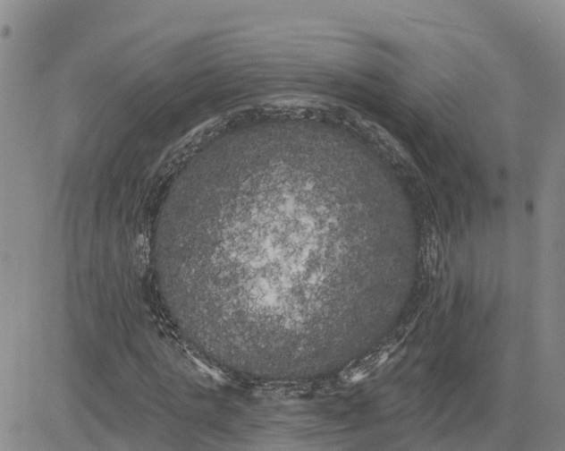 X0000080670821200612301358