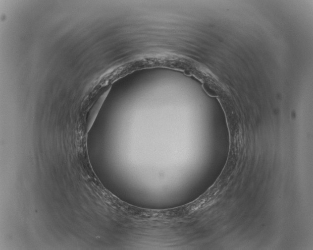 X0000080670822200612301358