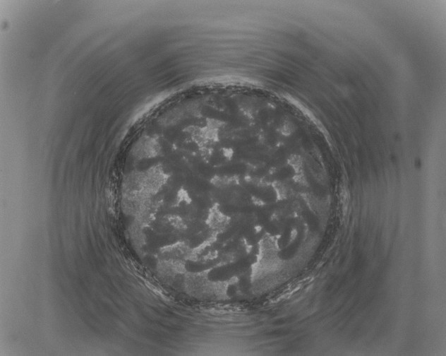 X0000080670823200612301358