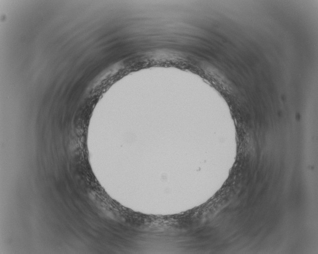 X0000080670824200612301358