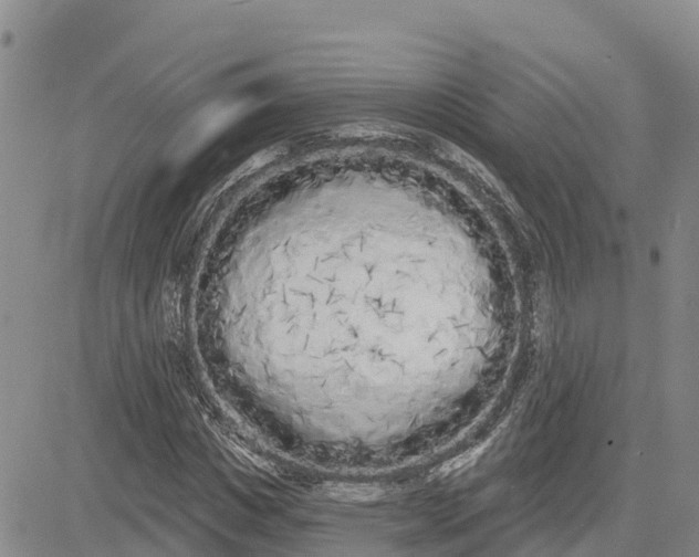 X0000080670825200612301358