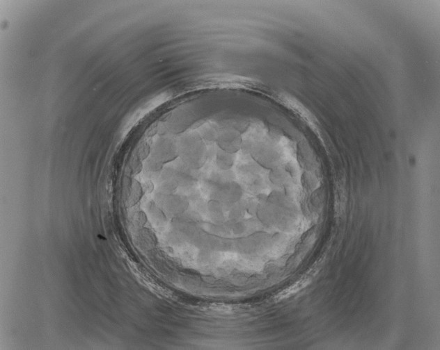 X0000080670827200612301358