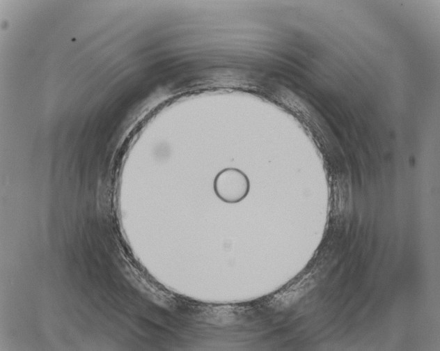 X0000080670828200612301358