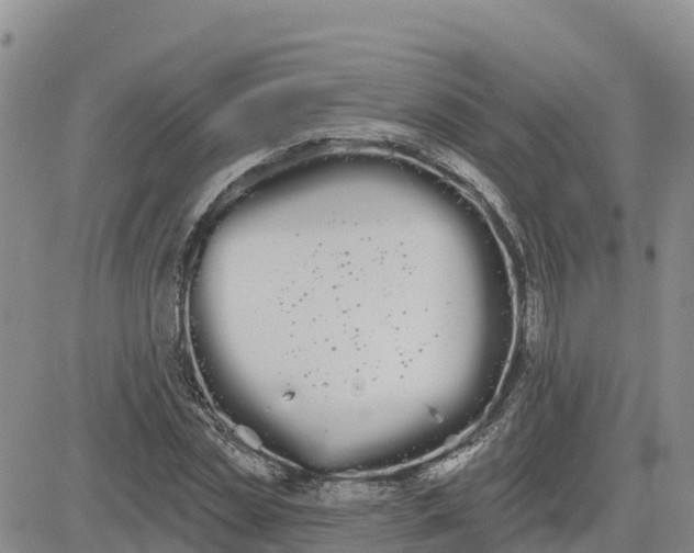 X0000080670829200612301358