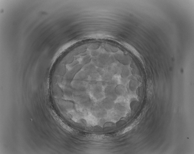 X0000080670831200612301358