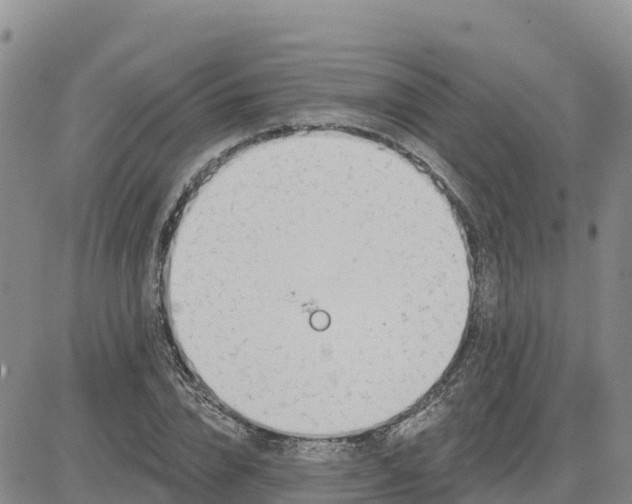 X0000080670832200612301358