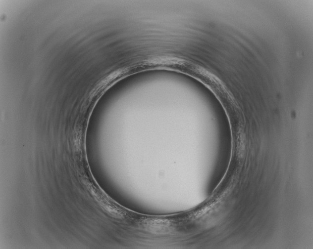 X0000080670833200612301358