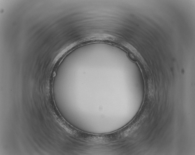 X0000080670834200612301358