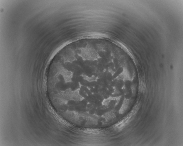 X0000080670835200612301358