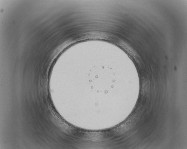 X0000080670836200612301358